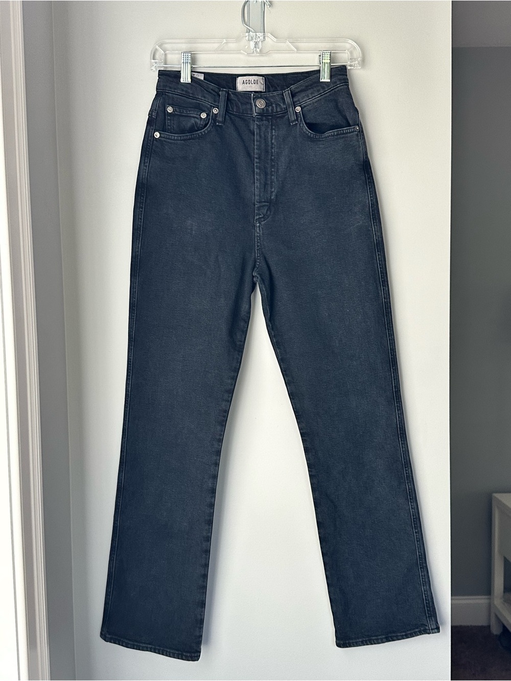 Agolde 90’s Pinch Waist High Rise Straight Jean in Vanta Size 26
